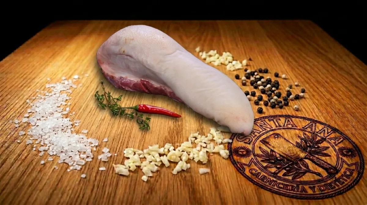 Lengua